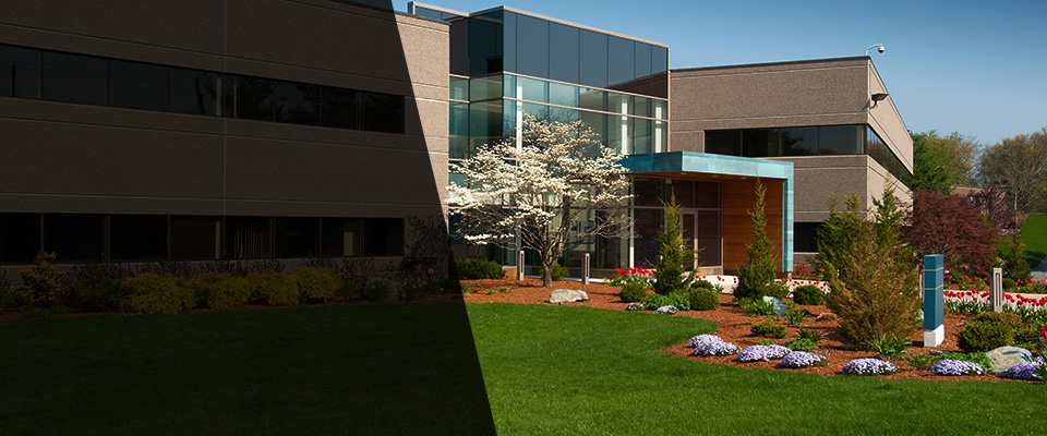 Middleburg Landscapers